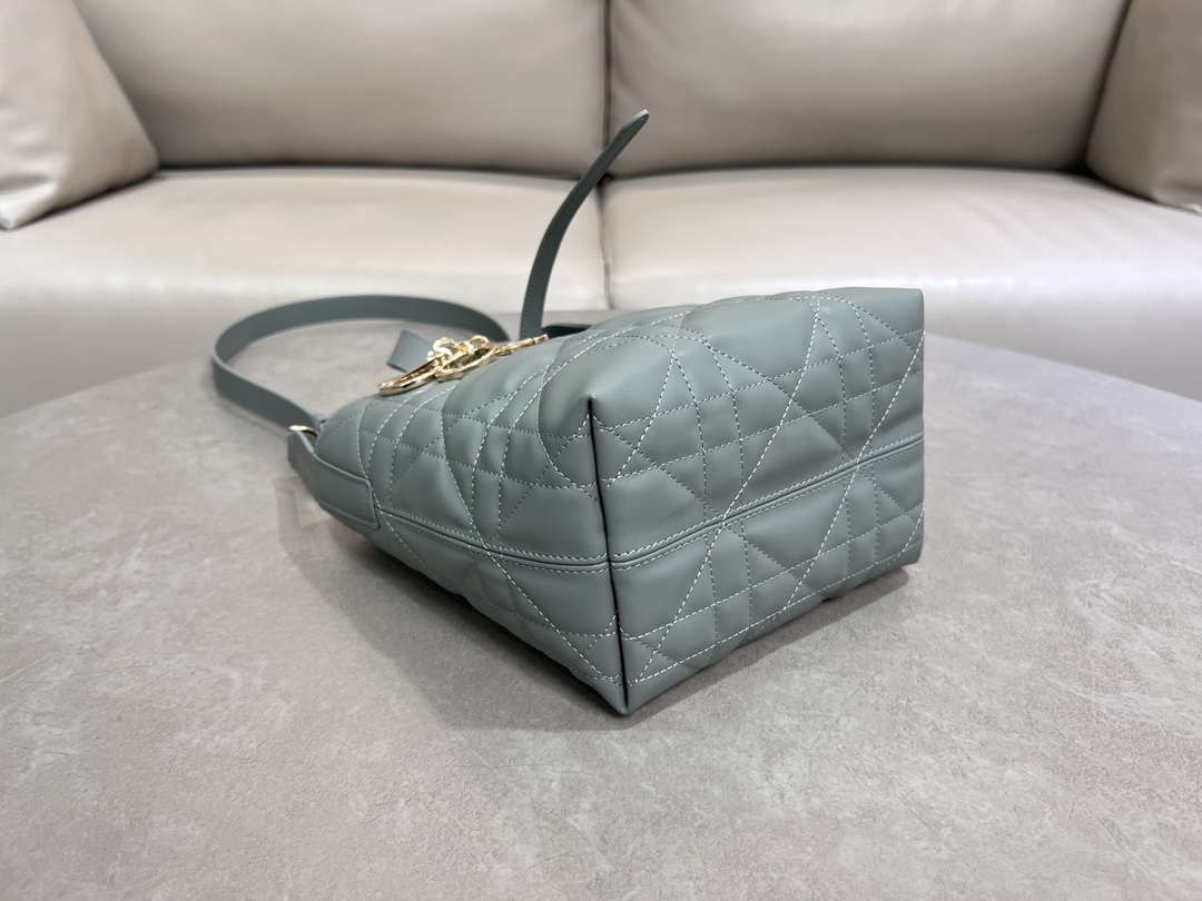 Dior M2835 Small Dior Toujours Vertical Tote Bag Blue Macrocannage Calfskin