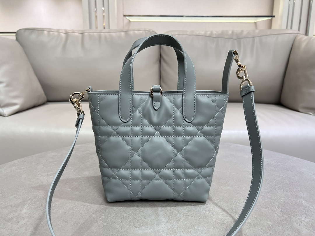 Dior M2835 Small Dior Toujours Vertical Tote Bag Blue Macrocannage Calfskin