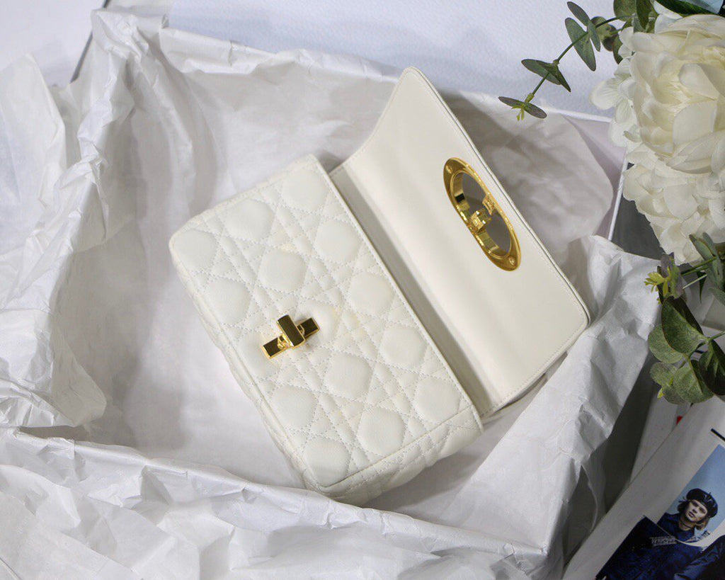 Dior M9241 Dior Small Dior Caro Bag White - luxibagsmall
