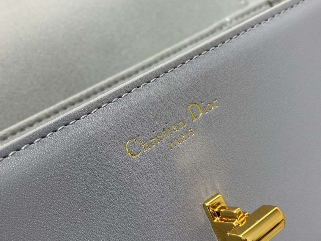 Dior M9260 30 Montaigne Avenue Bag Gray Box Calfskin