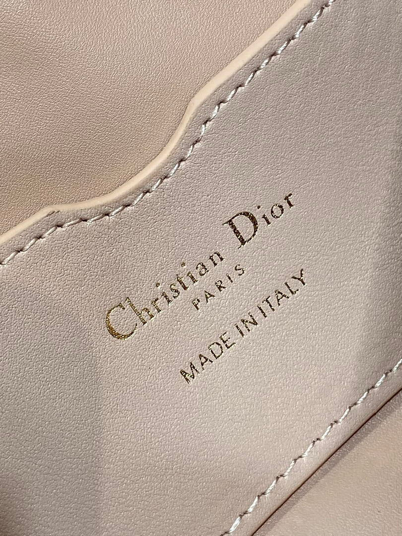 Dior S5232 Miss Caro Diorling Mini Bag with Chain Pink Macrocannage Lambskin