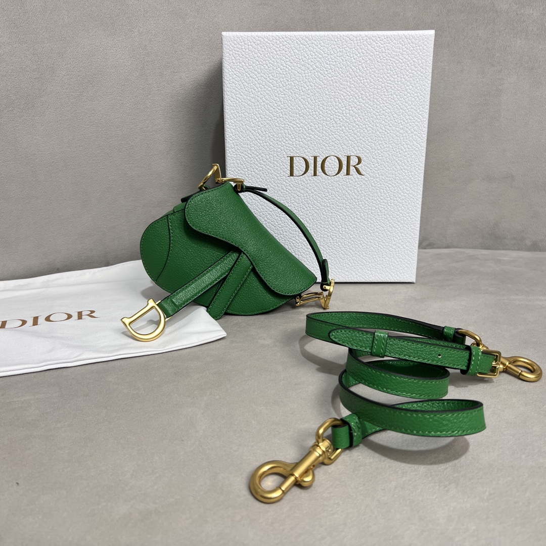 Dior S5685 Micro Saddle Bag With Strap Scarlet Green Goatskin