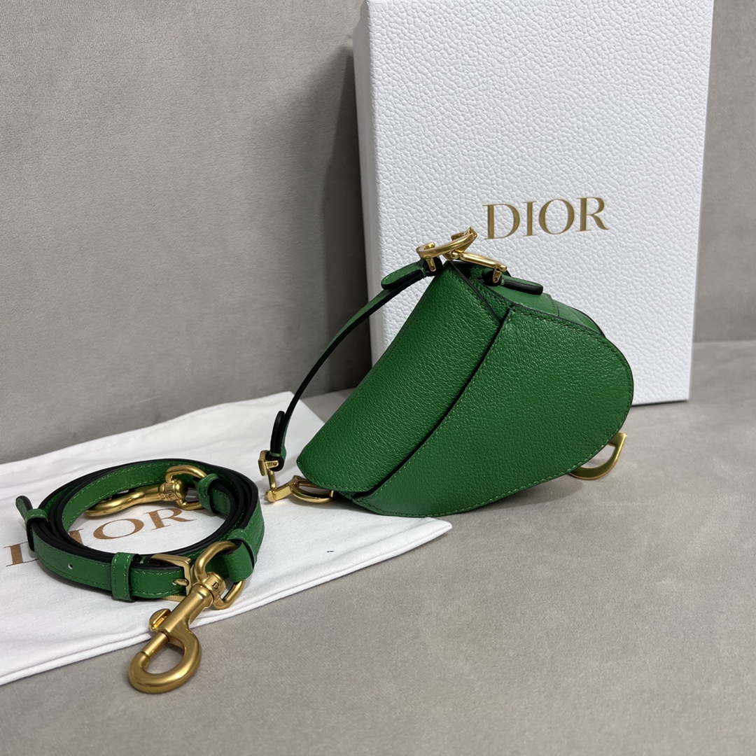 Dior S5685 Micro Saddle Bag With Strap Scarlet Green Goatskin