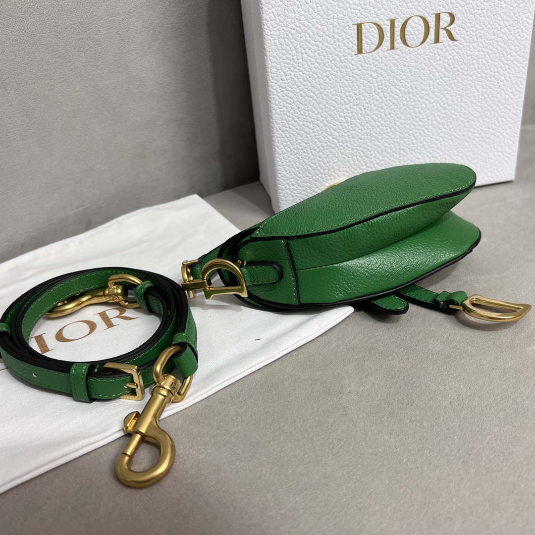 Dior S5685 Micro Saddle Bag With Strap Scarlet Green Goatskin