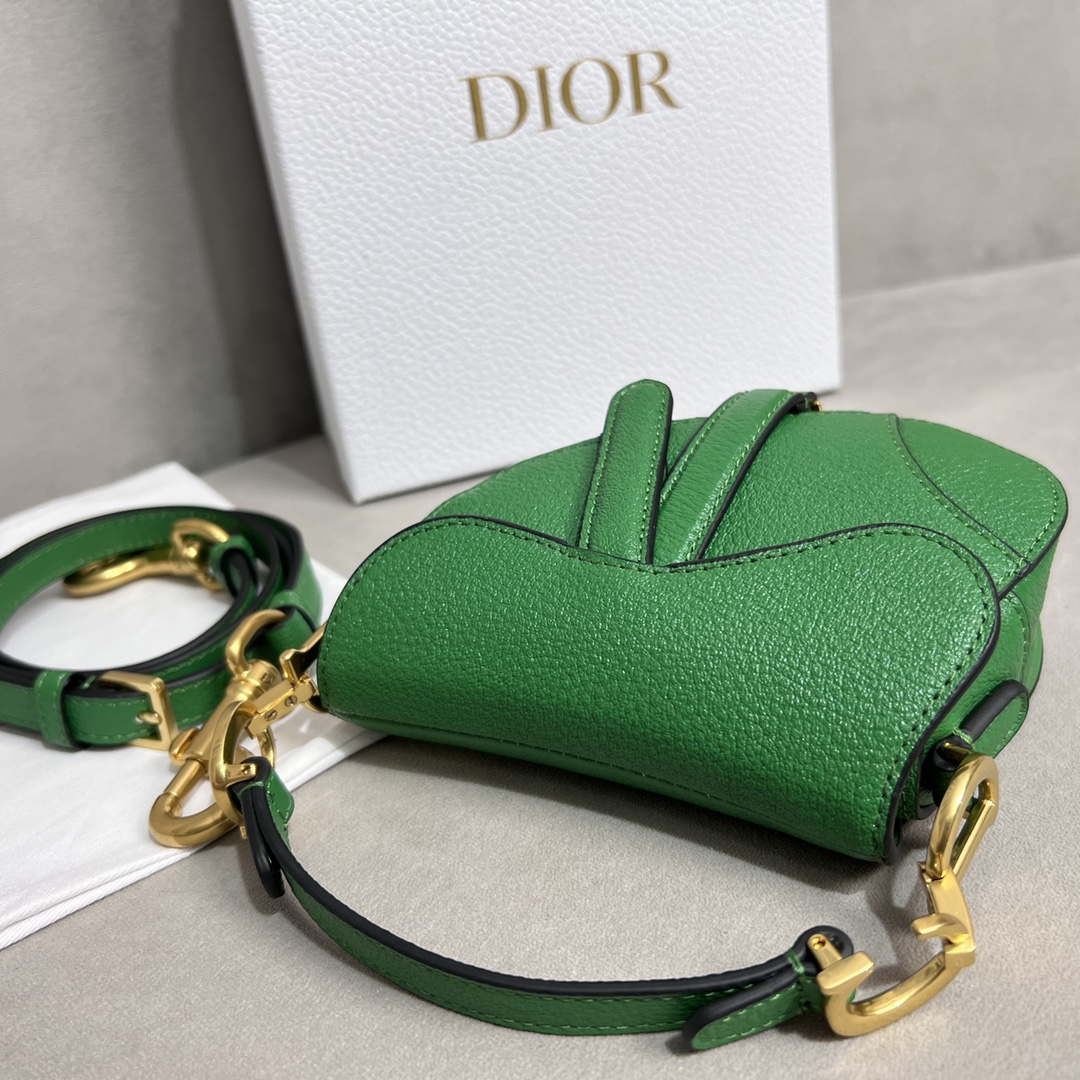 Dior S5685 Micro Saddle Bag With Strap Scarlet Green Goatskin