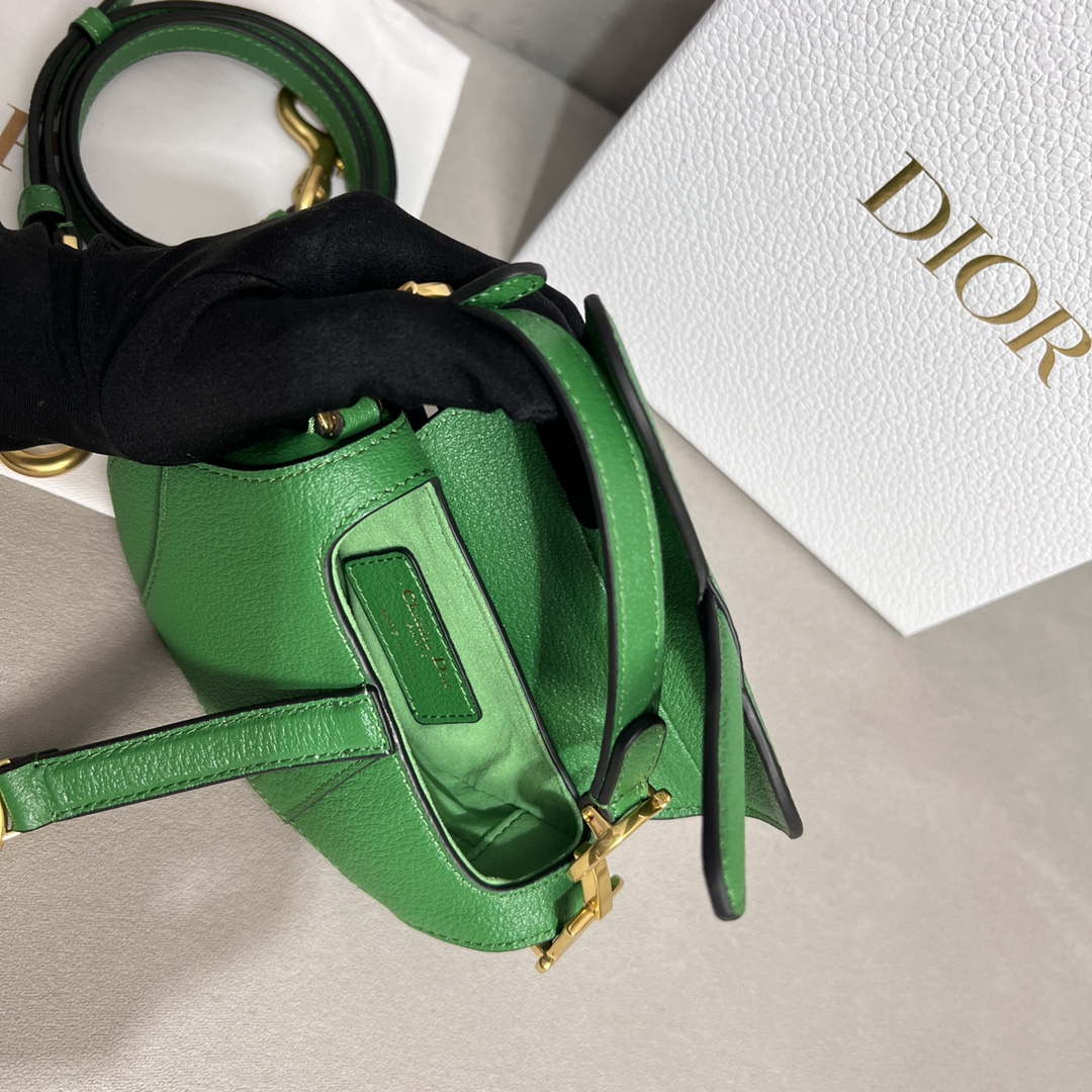 Dior S5685 Micro Saddle Bag With Strap Scarlet Green Goatskin