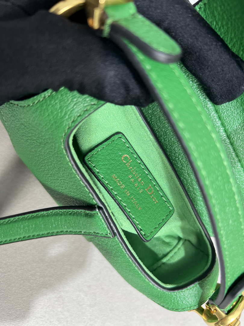 Dior S5685 Micro Saddle Bag With Strap Scarlet Green Goatskin - Default Title - View 9