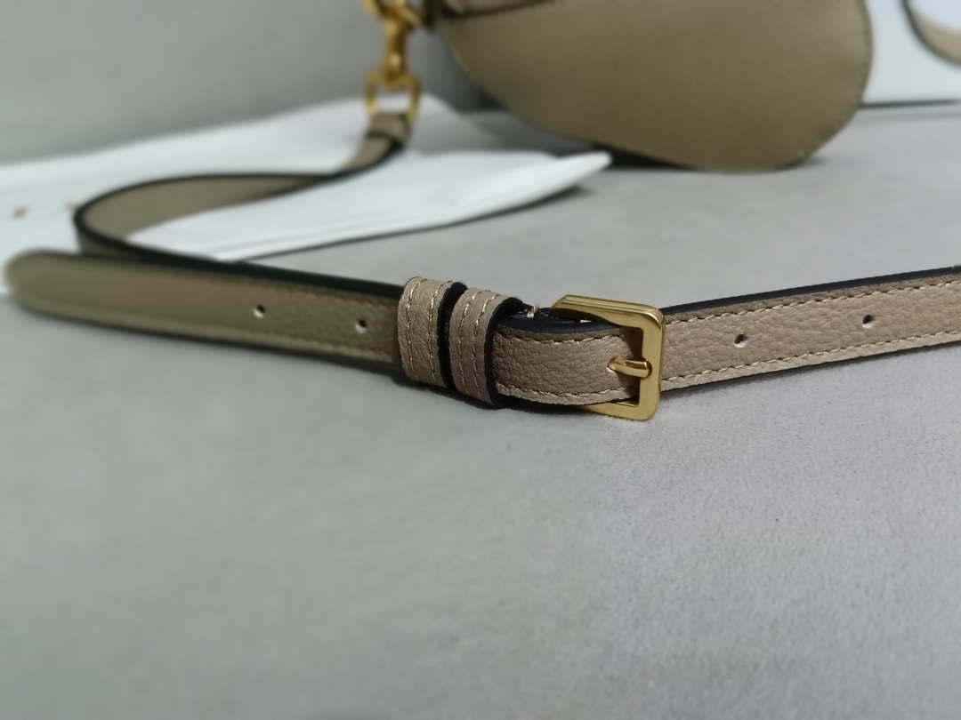 Dior S5685 Micro Saddle Bag With Strap Scarlet Light Gray Goatskin
