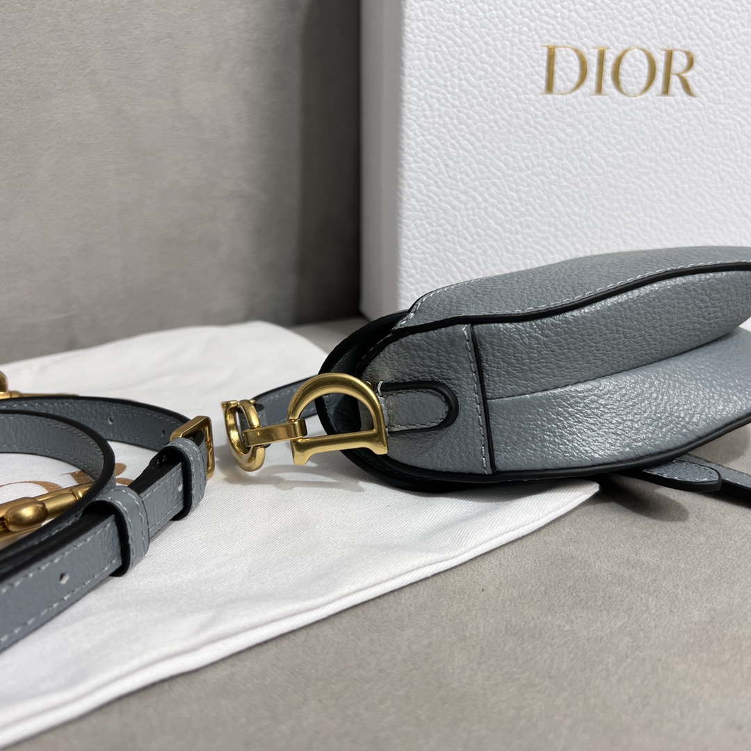 Dior S5685 Micro Saddle Bag With Strap Scarlet Gray Goatskin