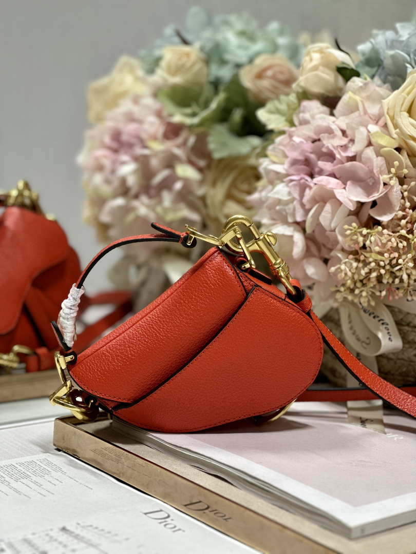 Dior S5685 Micro Saddle Bag With Strap Scarlet Orange Goatskin