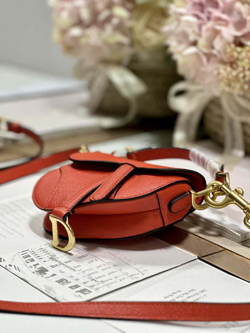 Dior S5685 Micro Saddle Bag With Strap Scarlet Orange Goatskin - Default Title - View 5