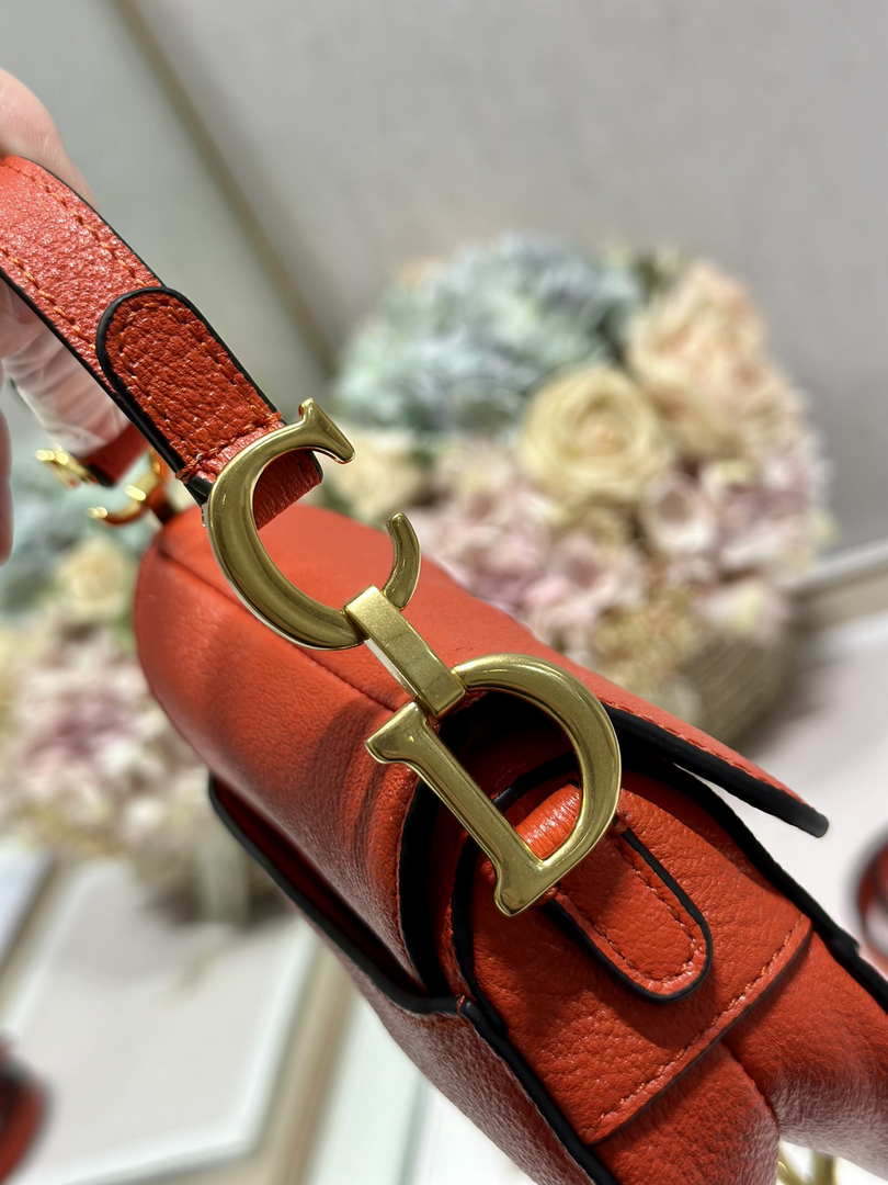 Dior S5685 Micro Saddle Bag With Strap Scarlet Orange Goatskin