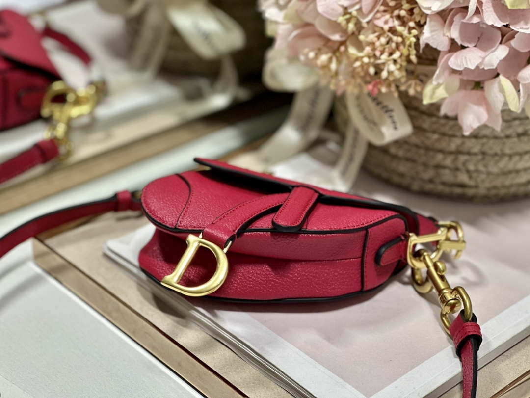 Dior S5685 Micro Saddle Bag With Strap Scarlet Red Goatskin - Default Title - View 4