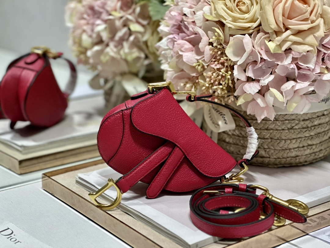 Dior S5685 Micro Saddle Bag With Strap Scarlet Red Goatskin - Default Title - View 5