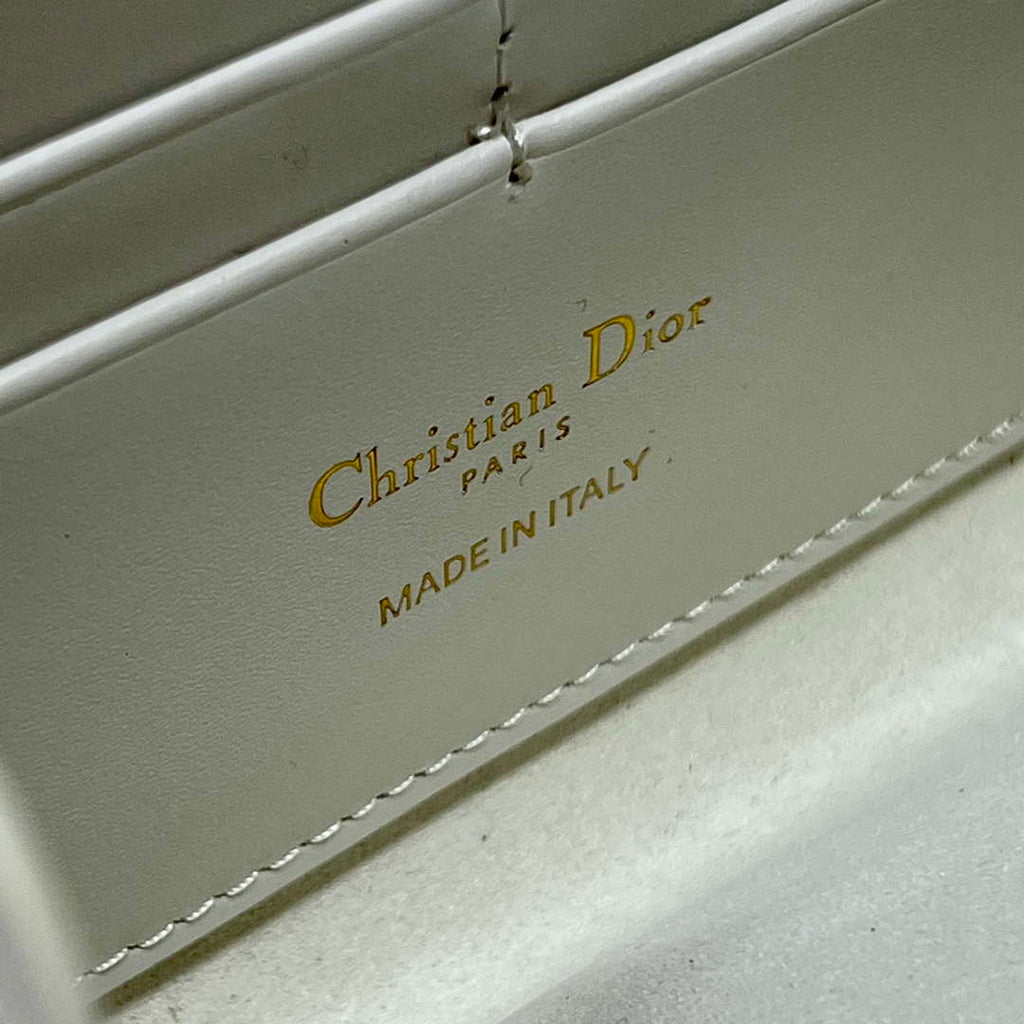Dior S5703 Bobby EAST-WEST Pouch With Chain White Smooth Calfskin