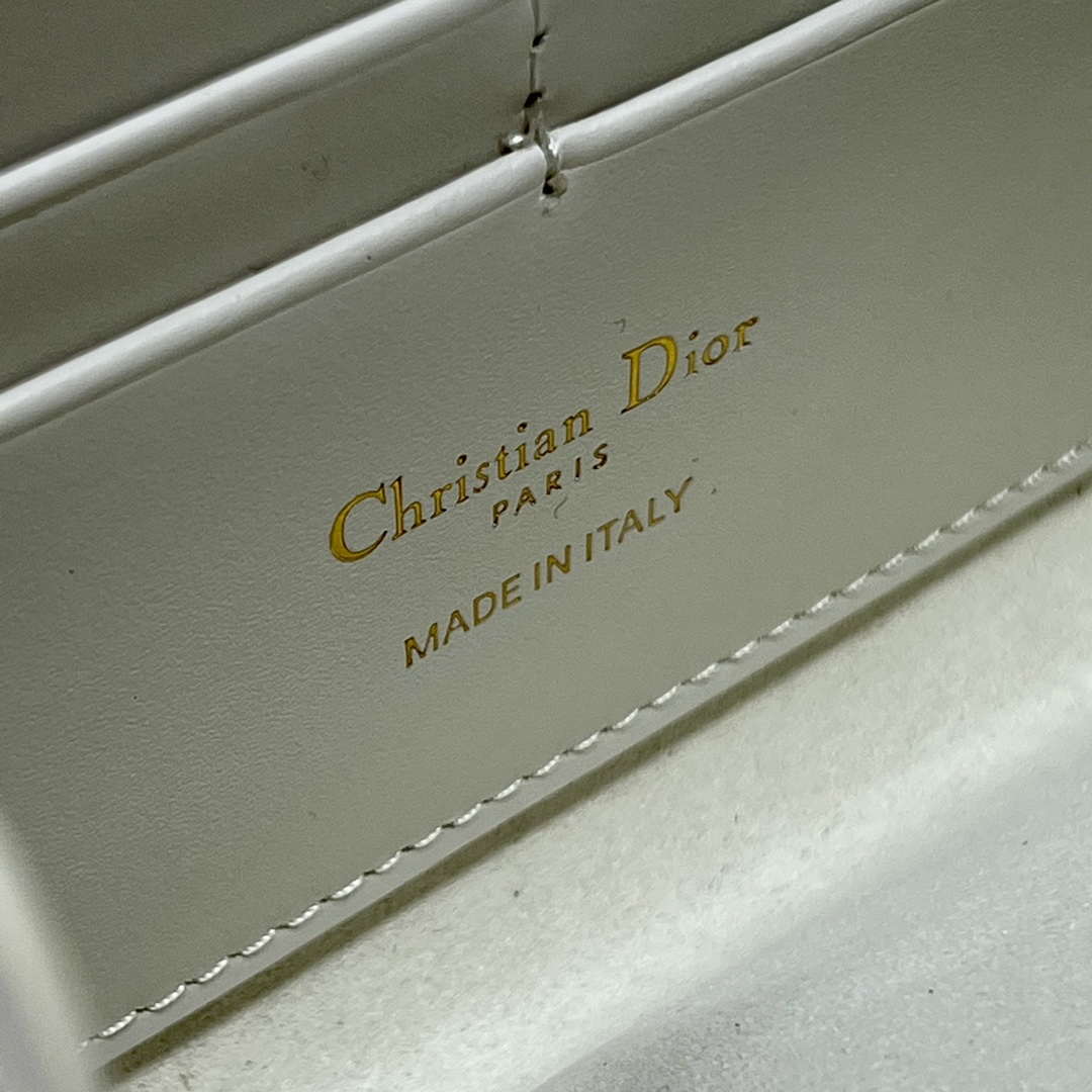 Dior S5703 Bobby EAST-WEST Pouch With Chain White Smooth Calfskin