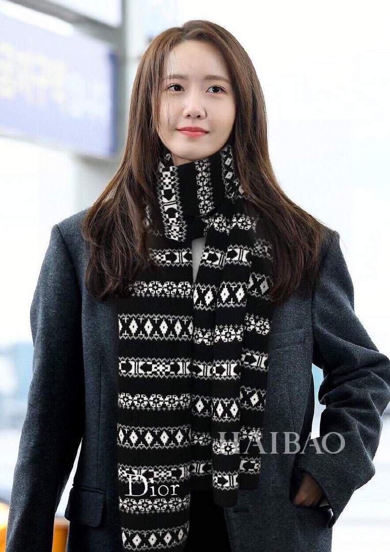 Dior Scarves Designer Dior Shawl Scarf 80014