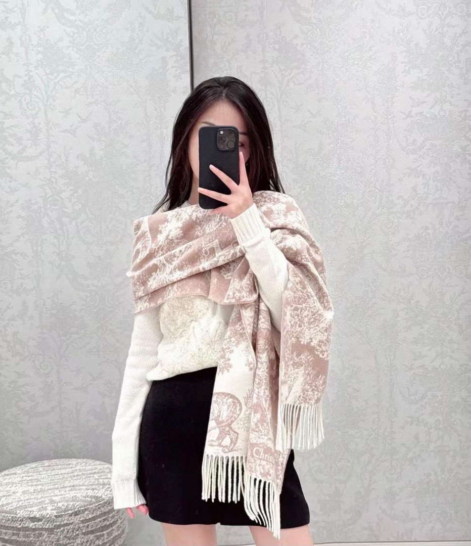 Dior Scarves Designer Scarf D63281