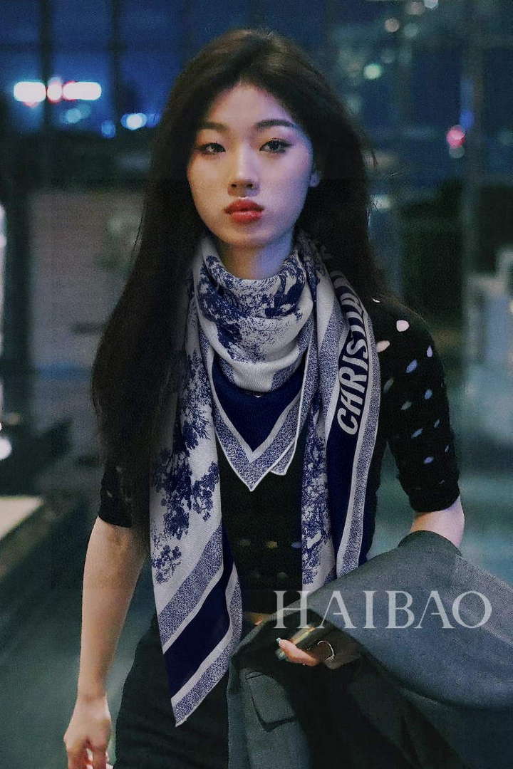 Dior Scarves Designer Scarf D63287
