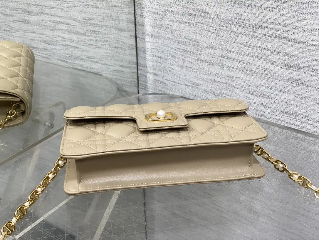 Dior Small Dior Jolie Bag With Chain Cannage Calfskin S3117 Apricot