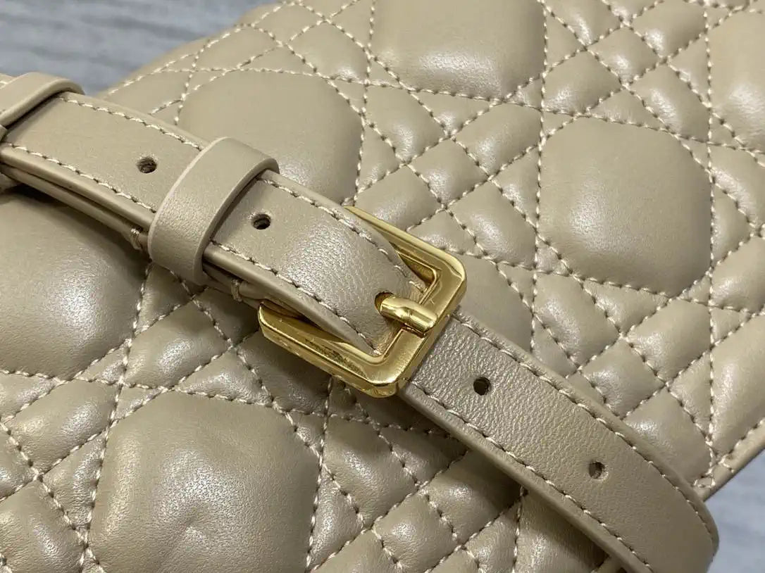 Dior Small Dior Jolie Bag With Chain Cannage Calfskin S3117 Apricot