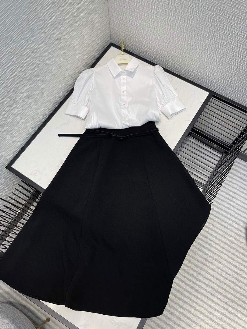 Dior Women's Dress Designer Dior Skirt Clothing 38110