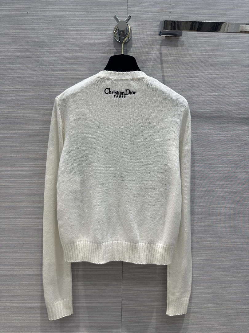 Dior Women's Fashion Clothing Sweater D38573
