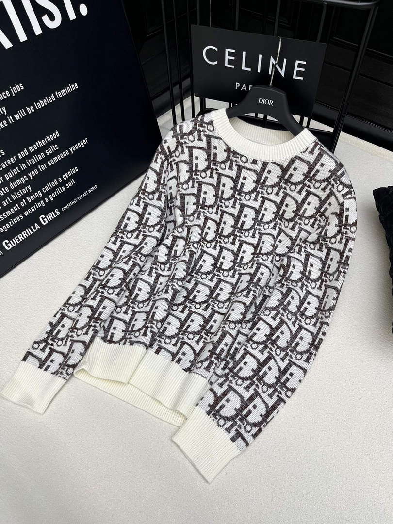 Dior Women's Fashion Clothing Sweater D38581