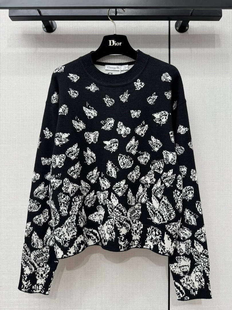Dior Women's Fashion Clothing Sweater D38582