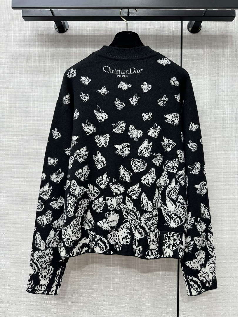 Dior Women's Fashion Clothing Sweater D38582