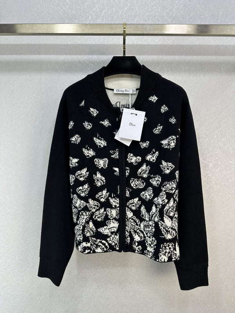 Dior Women's Fashion Clothing Sweater D38584