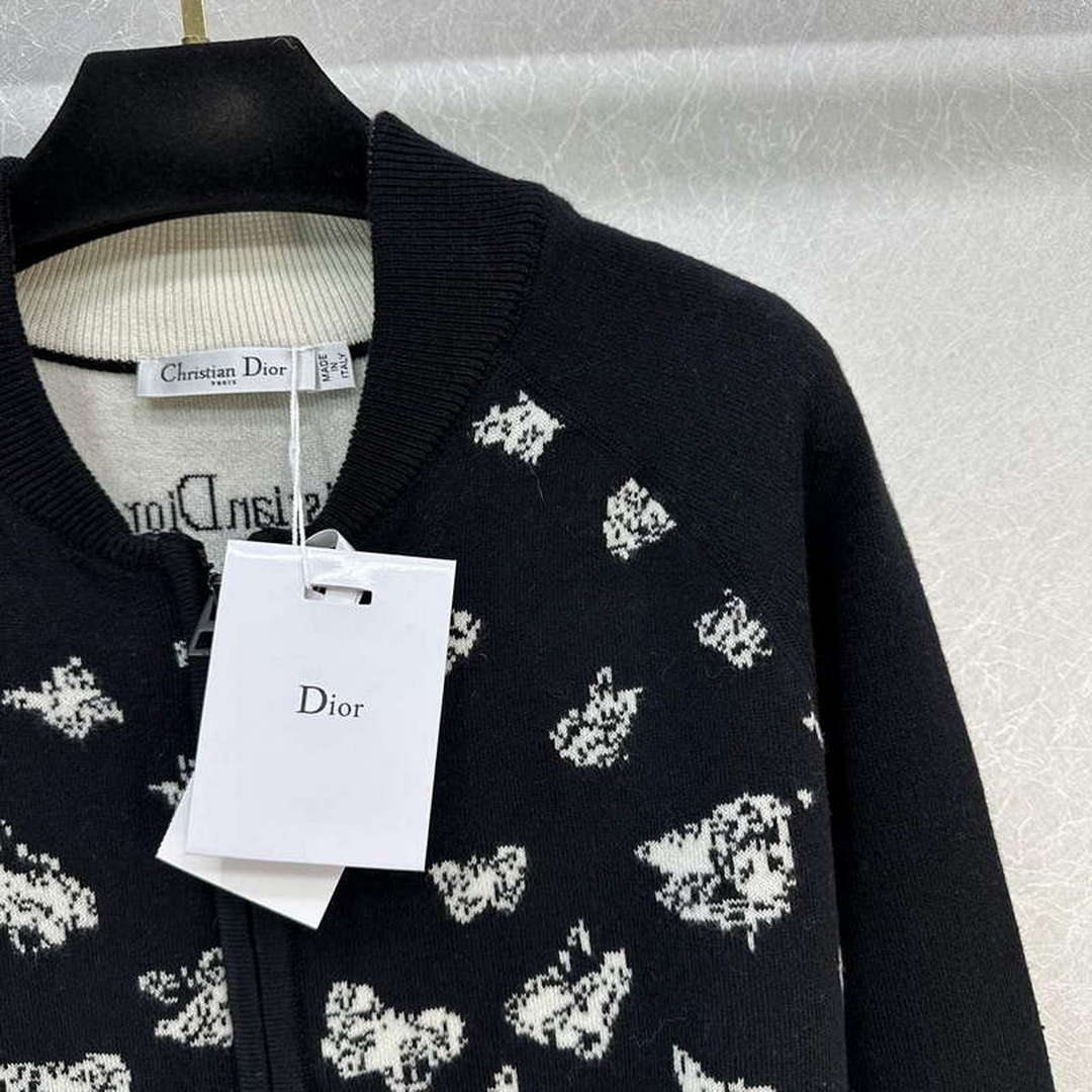 Dior Women's Fashion Clothing Sweater D38584