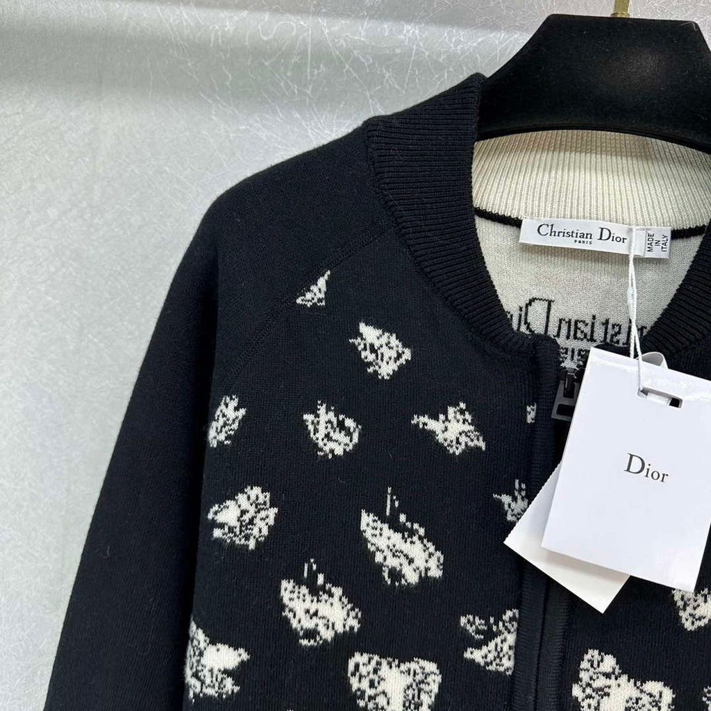 Dior Women's Fashion Clothing Sweater D38584