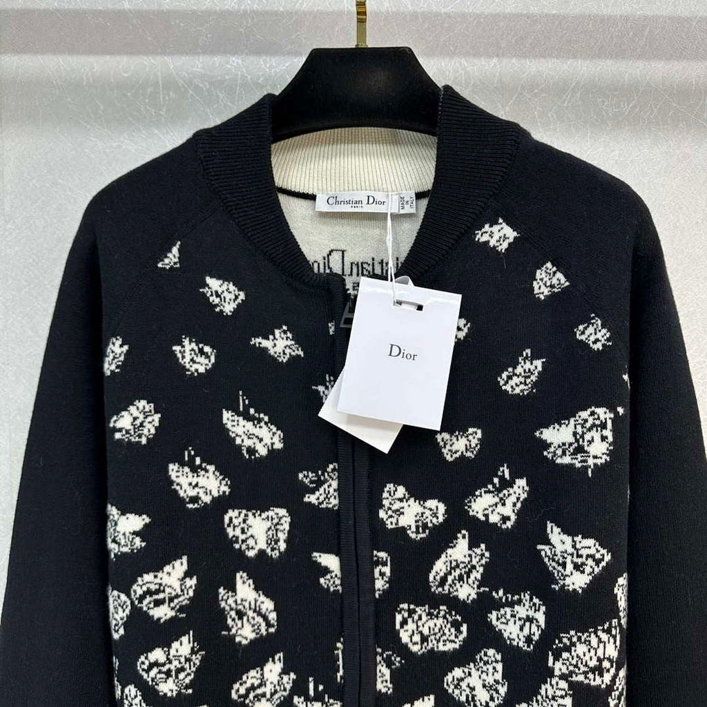 Dior Women's Fashion Clothing Sweater D38584