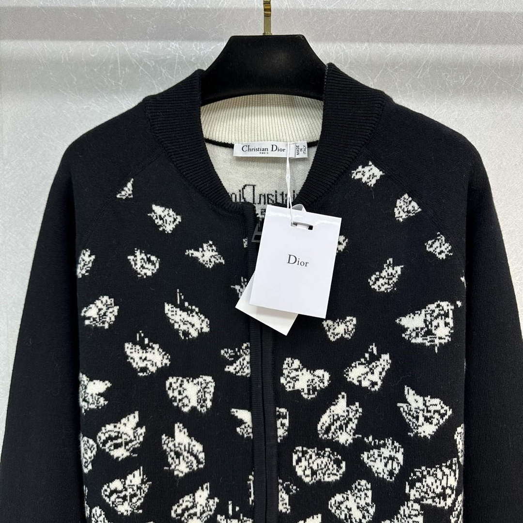 Dior Women's Fashion Clothing Sweater D38584