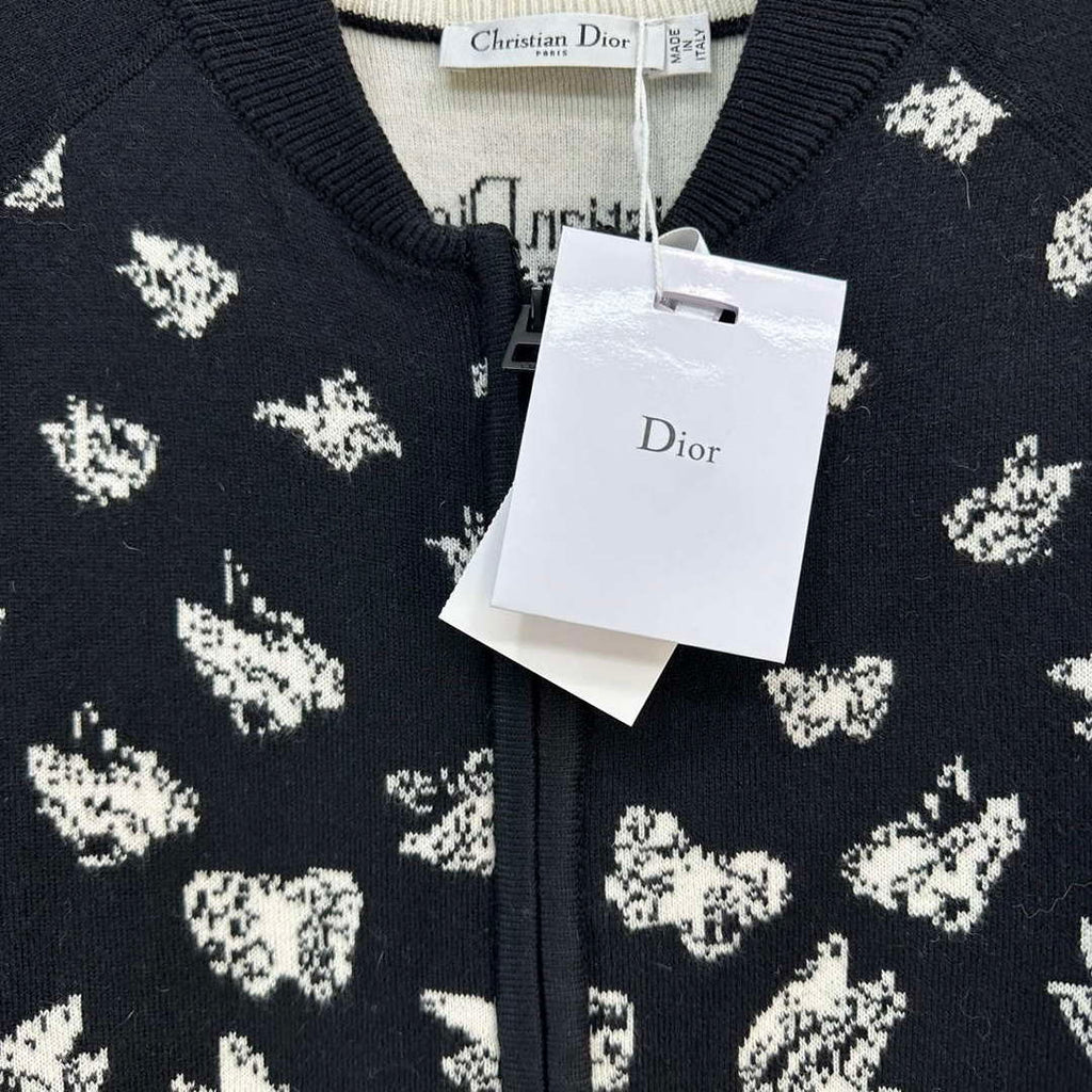 Dior Women's Fashion Clothing Sweater D38584