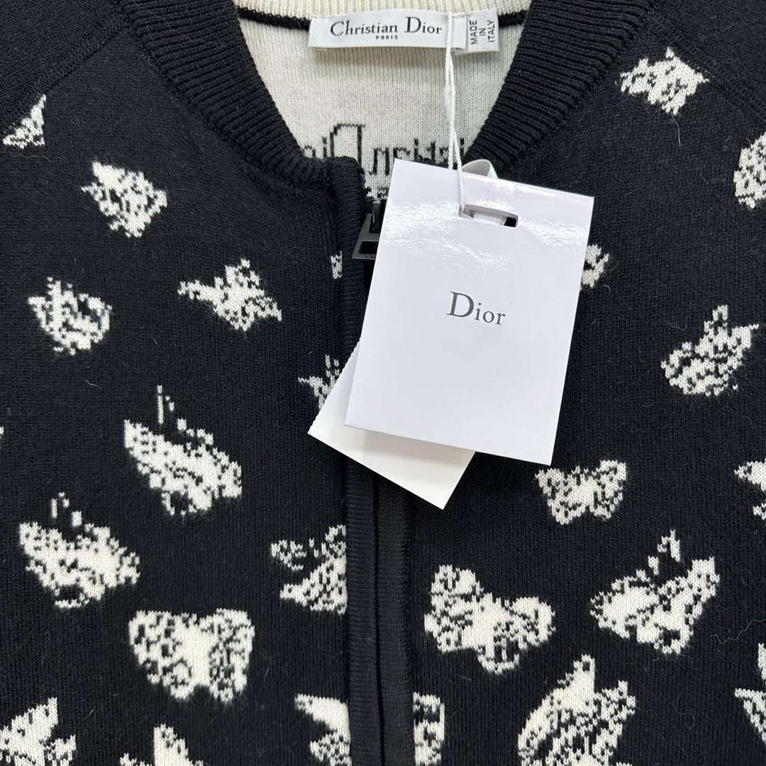 Dior Women's Fashion Clothing Sweater D38584
