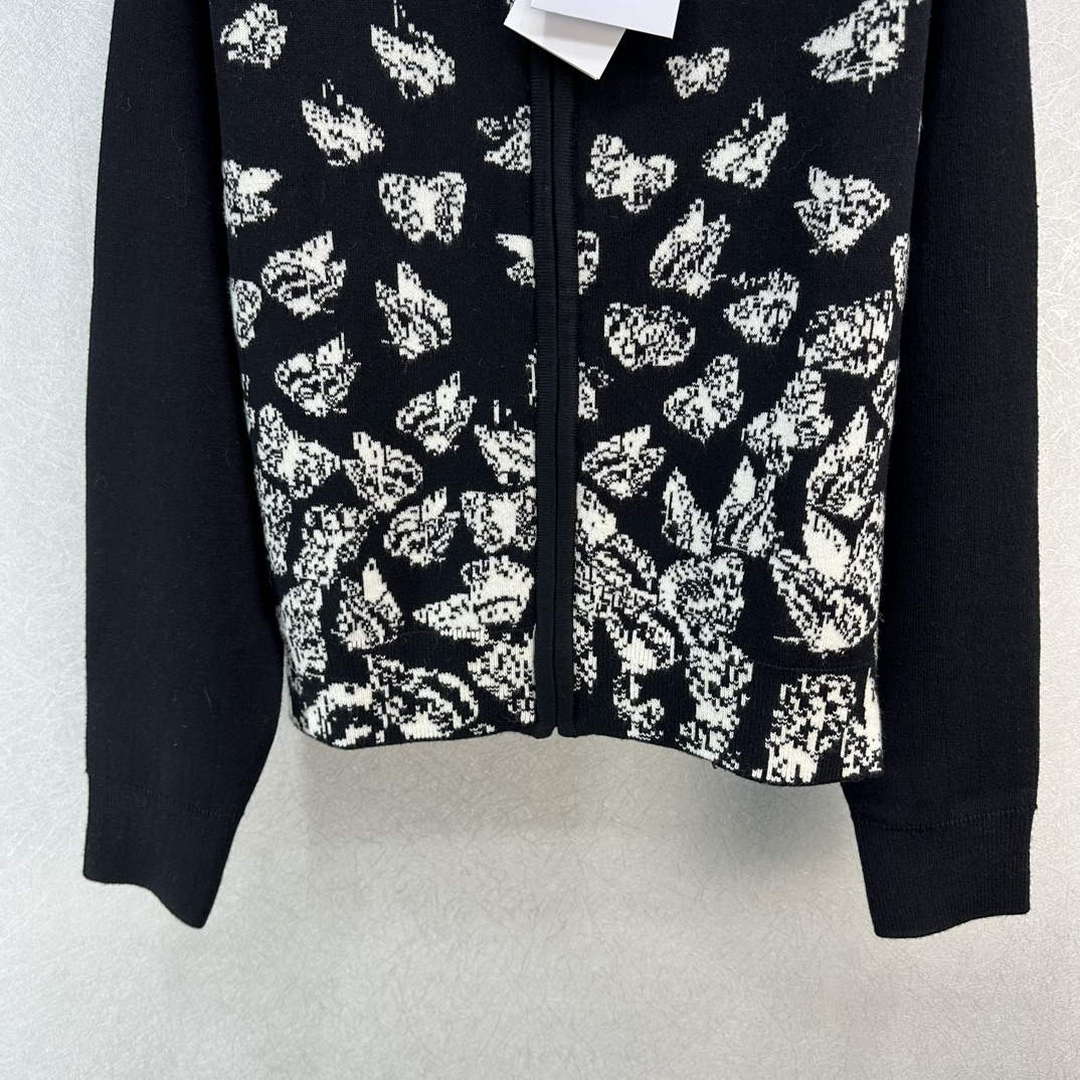 Dior Women's Fashion Clothing Sweater D38584