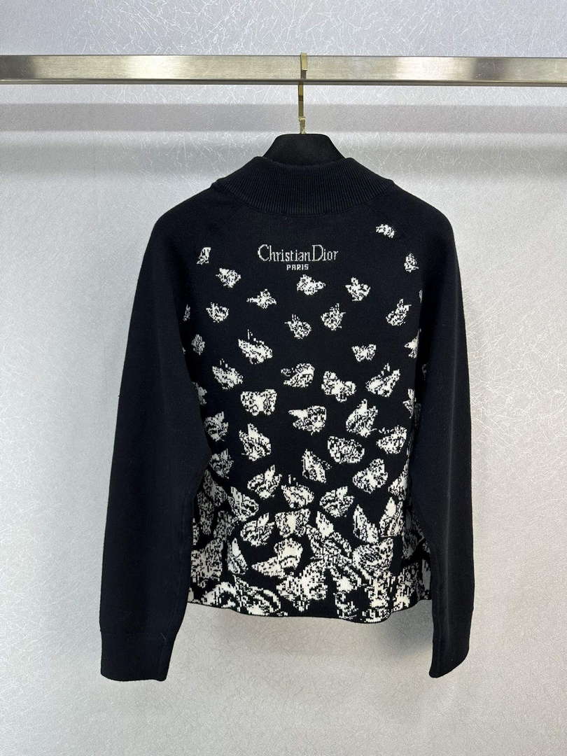 Dior Women's Fashion Clothing Sweater D38584