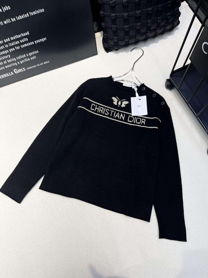 Dior Women's Fashion Clothing Sweater D38587