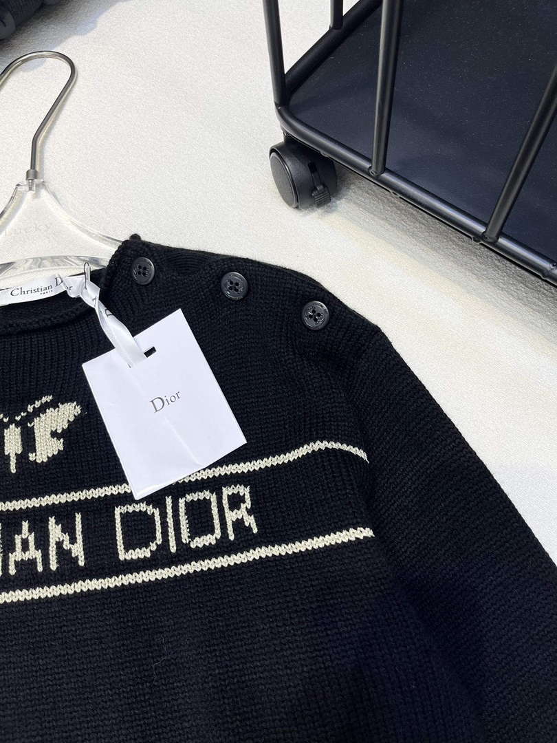 Dior Women's Fashion Clothing Sweater D38587