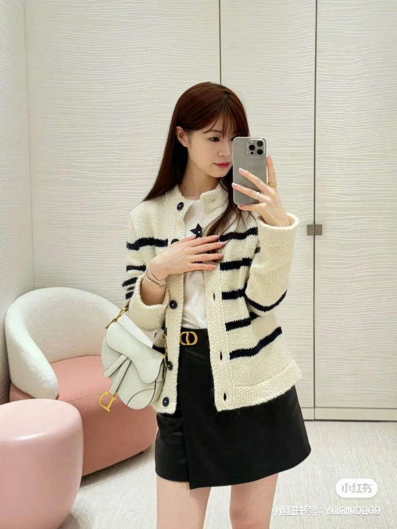 Dior Women's Fashion Clothing Sweater D38592
