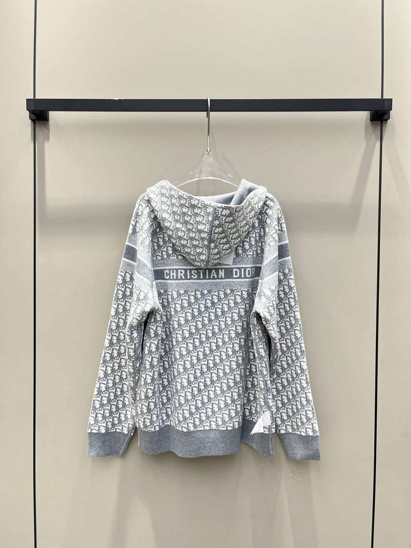 Dior Women's Fashion Clothing Sweater D38594