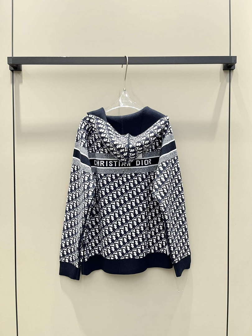 Dior Women's Fashion Clothing Sweater D38595