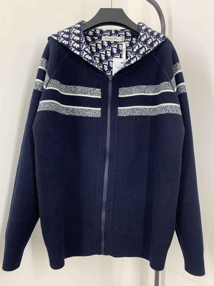 Dior Women's Fashion Clothing Sweater D38599