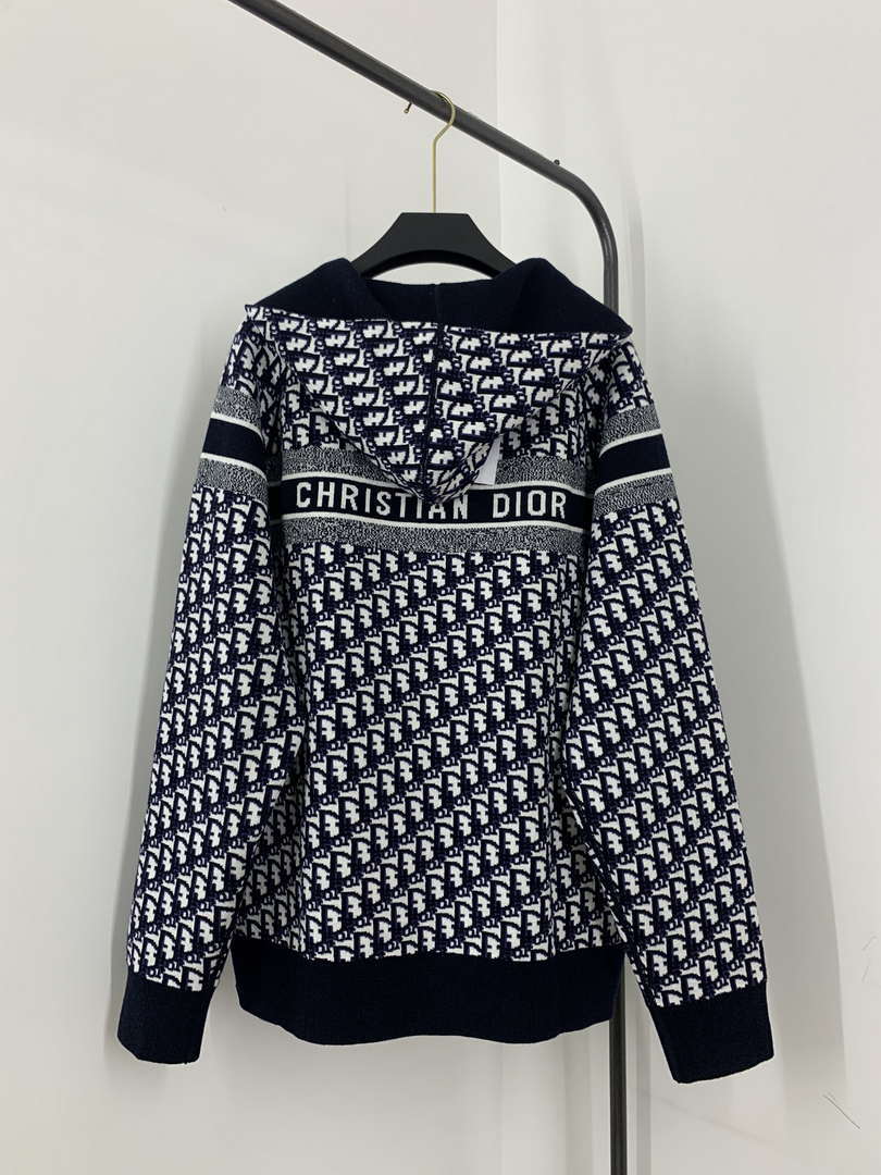 Dior Women's Fashion Clothing Sweater D38599
