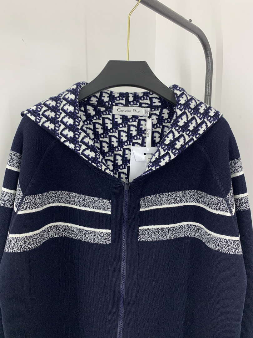 Dior Women's Fashion Clothing Sweater D38599