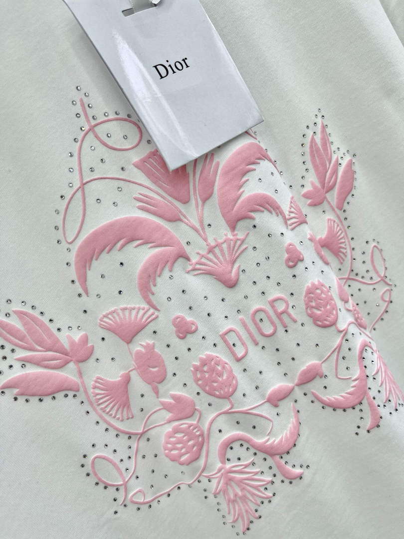 Dior Women's Fashion Clothing T-Shirt D88376