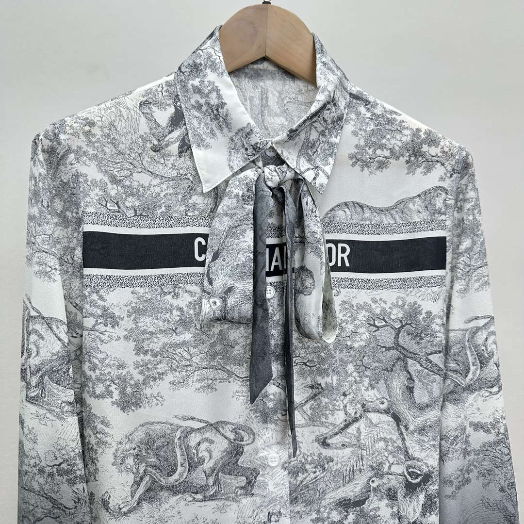 Dior Women's ink painting printed silk shirt D60990
