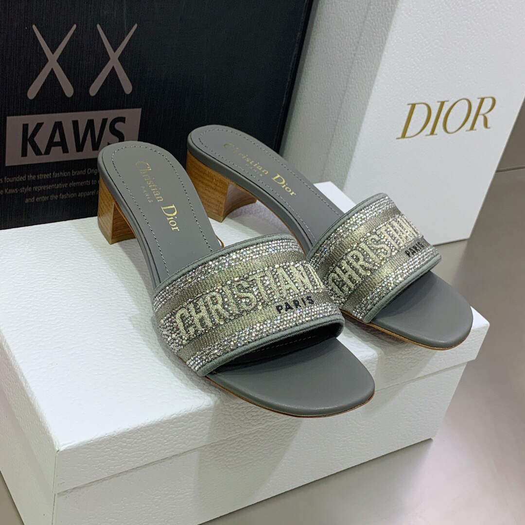 Dior Women's Shoes Dway Heeled Slide Metallic Thread Strass KCQ244LCS Gray